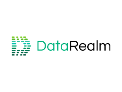Data Realm Logo 1